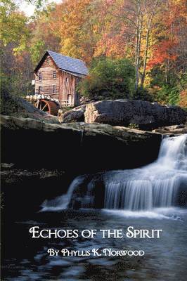 Echoes of the Spirit 1