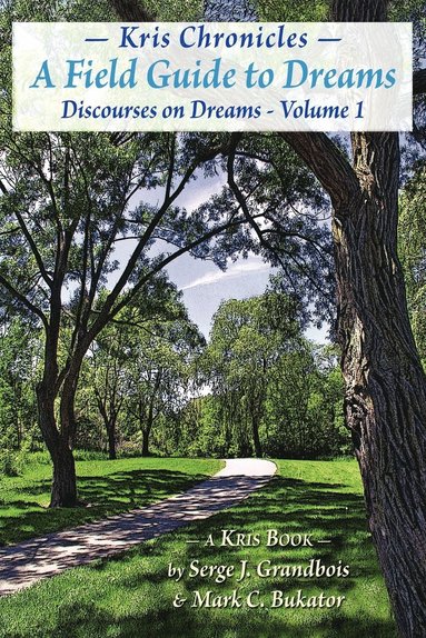 bokomslag Discourses on Dreams