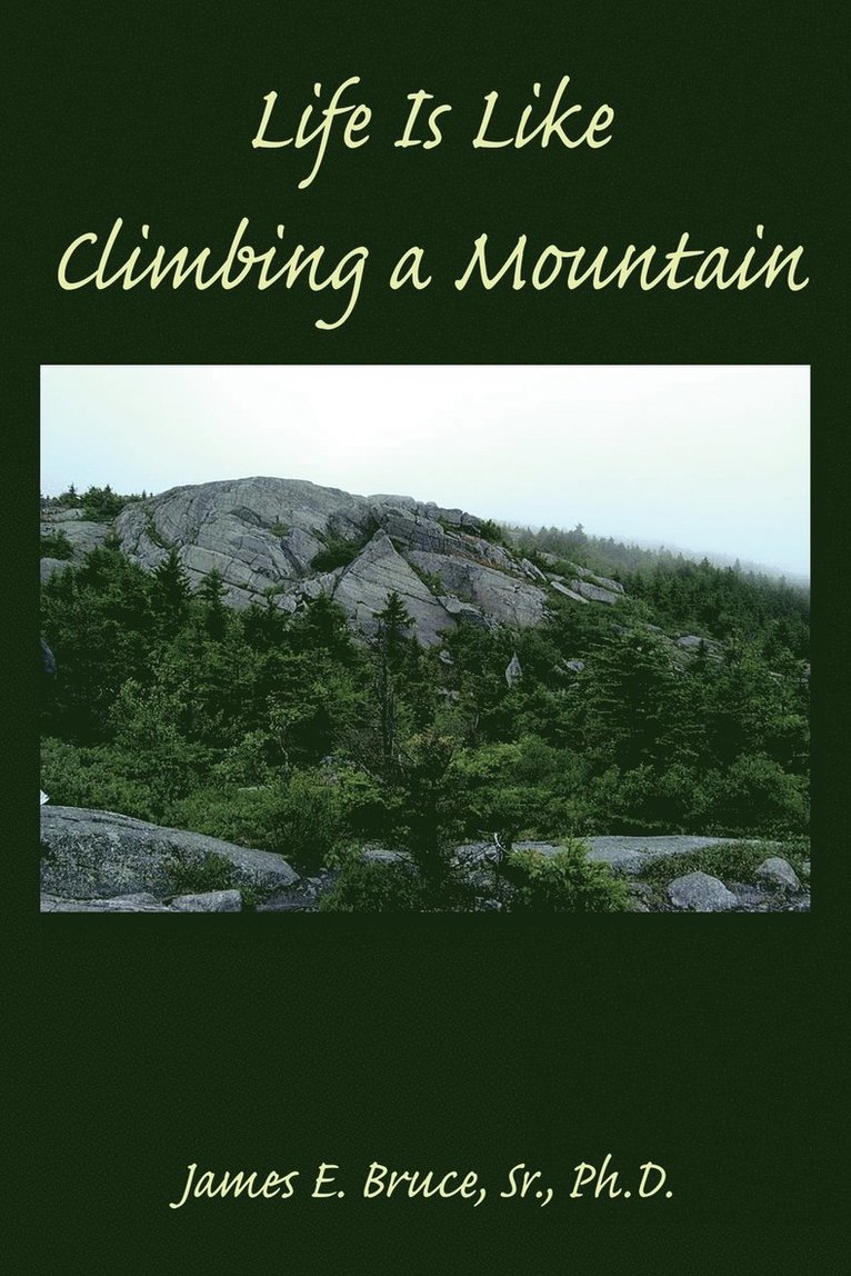 Life Is Like Climbing a Mountain 1