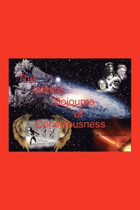 bokomslag Infinite Sojourns Of Consciousness