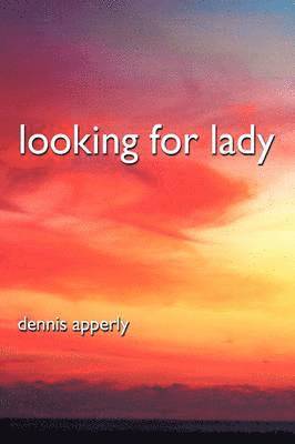 bokomslag Looking For Lady