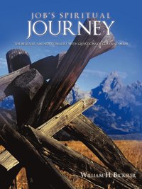 bokomslag Job's Spiritual Journey