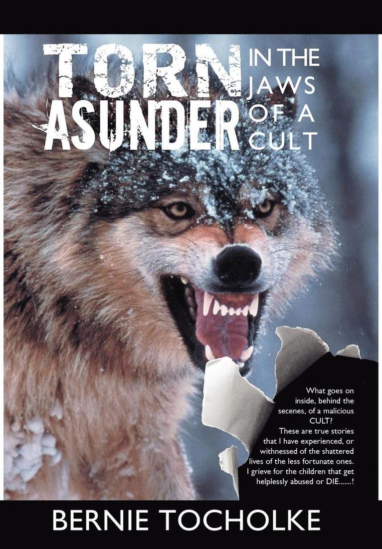 Torn Asunder 1