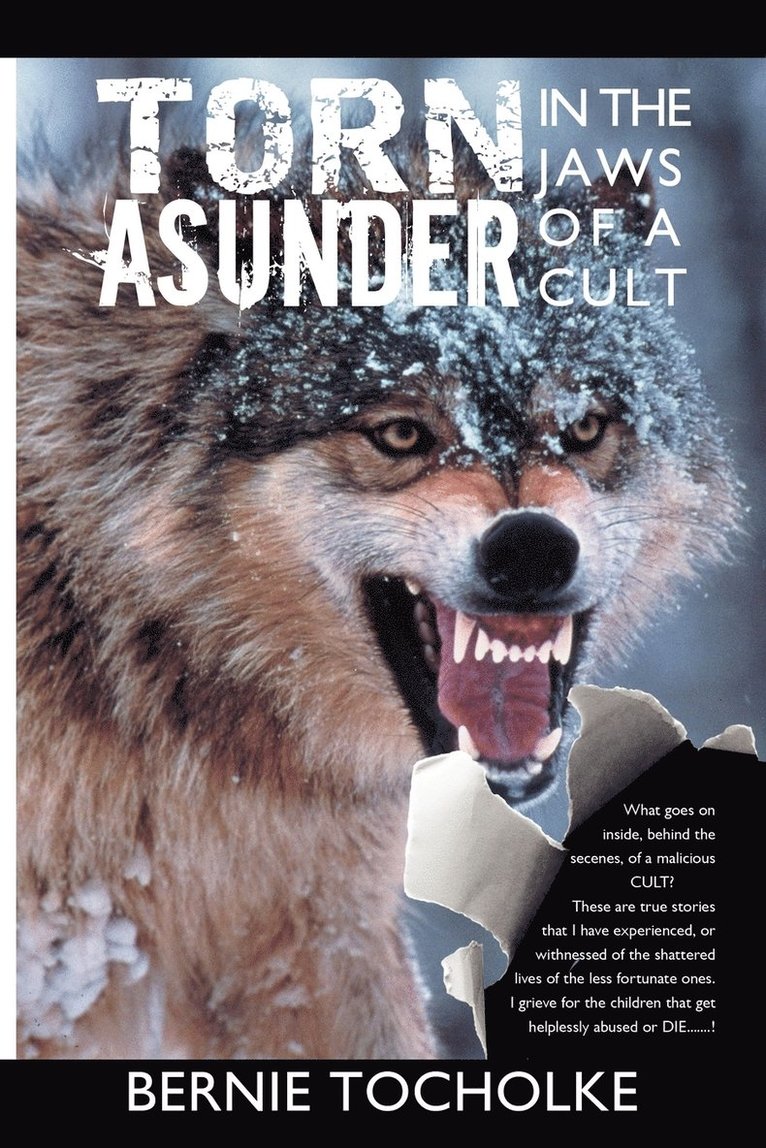 Torn Asunder 1