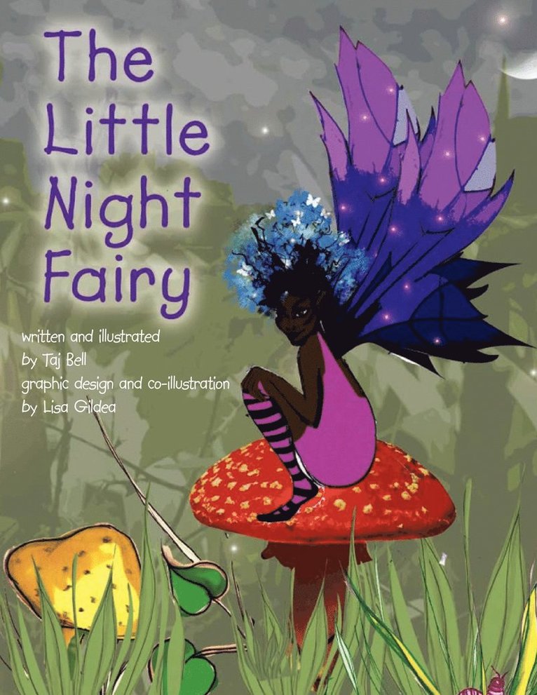 The Little Night Fairy 1