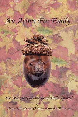 bokomslag An Acorn for Emily