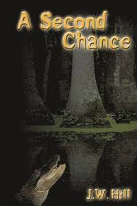 bokomslag Second Chance