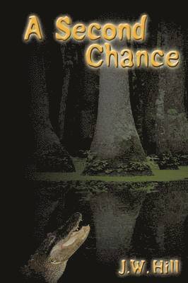bokomslag Second Chance