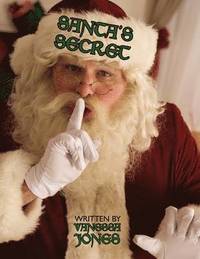 bokomslag Santa's Secret