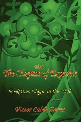 bokomslag Vee's The Chapters of Expudict