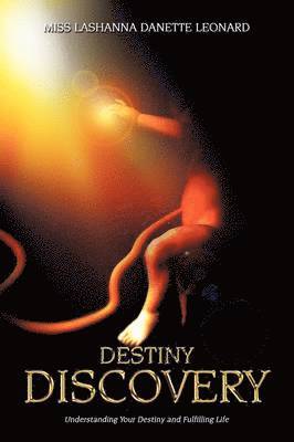 bokomslag Destiny Discovery