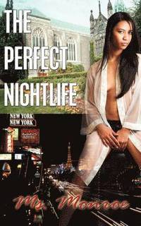 bokomslag Perfect Nightlife