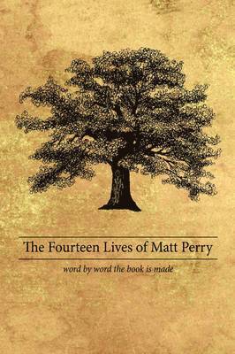 bokomslag Fourteen Lives of Matt Perry