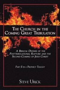 bokomslag The Church in the Coming Great Tribulation