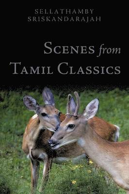 bokomslag Scenes from Tamil Classics