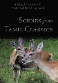 bokomslag Scenes From Tamil Classics