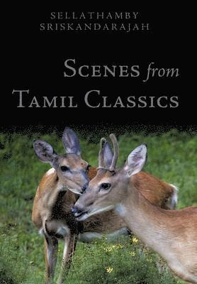 bokomslag Scenes From Tamil Classics