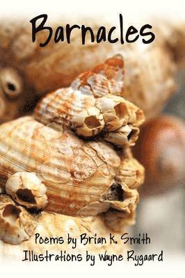 bokomslag Barnacles