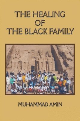 Muhammad Amin - Healing of the Black Family, Häftad