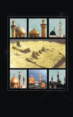 bokomslag Istiqbal-e-Imam Mahdi