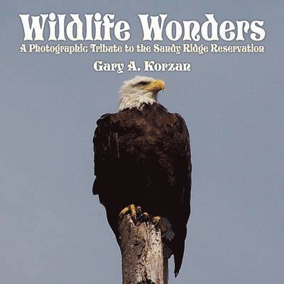 Wildlife Wonders 1