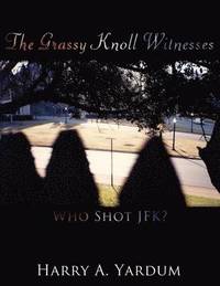 bokomslag The Grassy Knoll Witnesses
