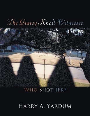 bokomslag Grassy Knoll Witnesses