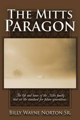 bokomslag Mitts Paragon