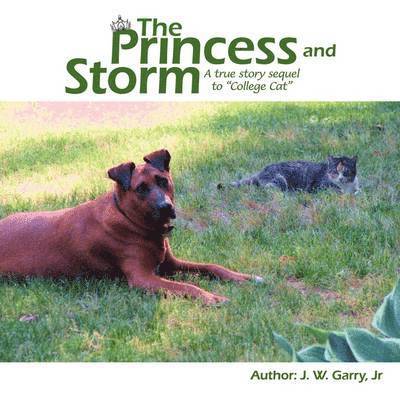 The Princess and Storm 1