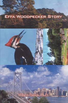 Effa Woodpecker Story 1