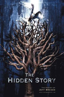 The Hidden Story 1