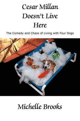 Michelle Brooks - Cesar Millan Doesn't Live Here, Inbunden