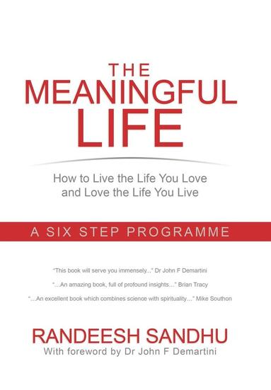 bokomslag Meaningful Life