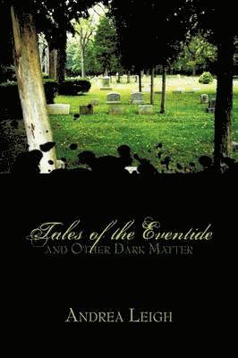 bokomslag Tales of the Eventide and Other Dark Matter