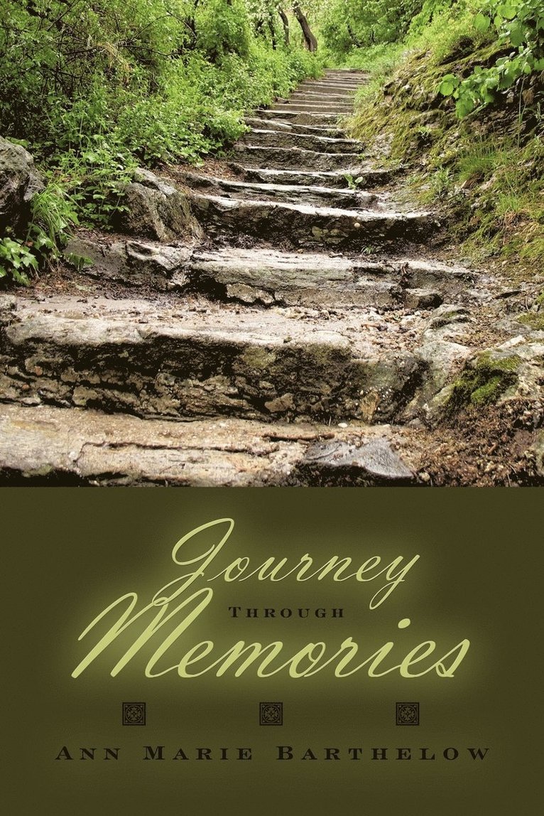 Journey Through Memories 1