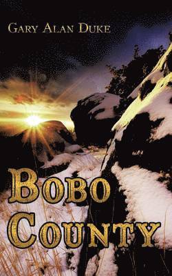 bokomslag Bobo County