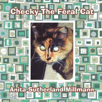 Checky The Feral Cat 1