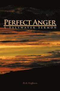 bokomslag Perfect Anger