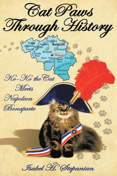 bokomslag Cat Paws Through History