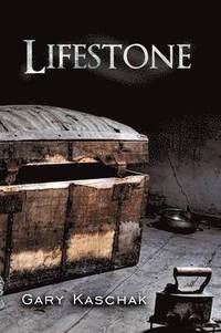 bokomslag Lifestone