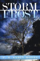 bokomslag Storm Frost