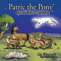 bokomslag Patric the Pony and the Flash of Lightning