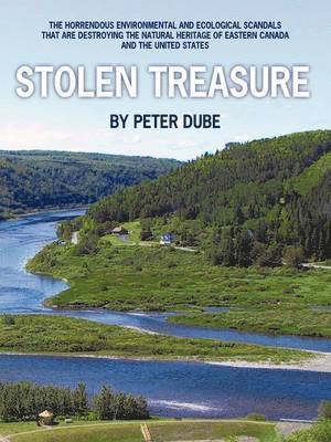 Stolen Treasure 1