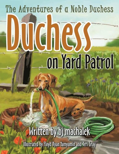 bokomslag Adventures of a Noble Duchess