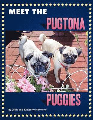 Meet the Pugtona Puggies 1