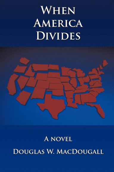 bokomslag When America Divides