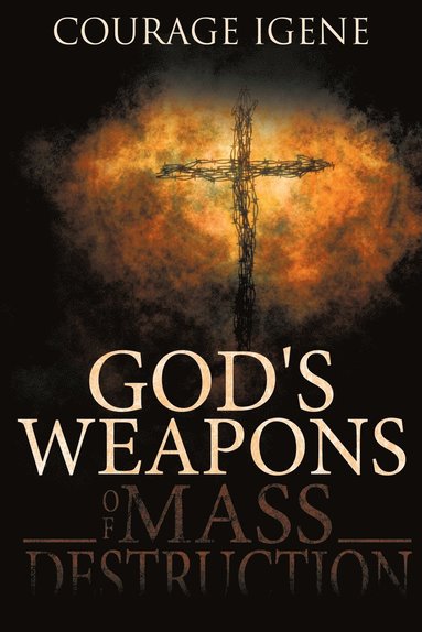 bokomslag God's Weapons Of Mass Destruction