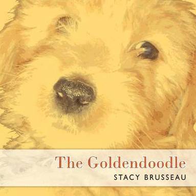 bokomslag The Goldendoodle