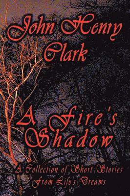 bokomslag Fire's Shadow