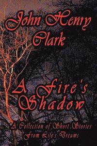 bokomslag Fire's Shadow
